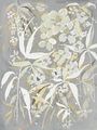 Image Not Available